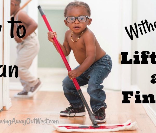 clean without lifting a finger