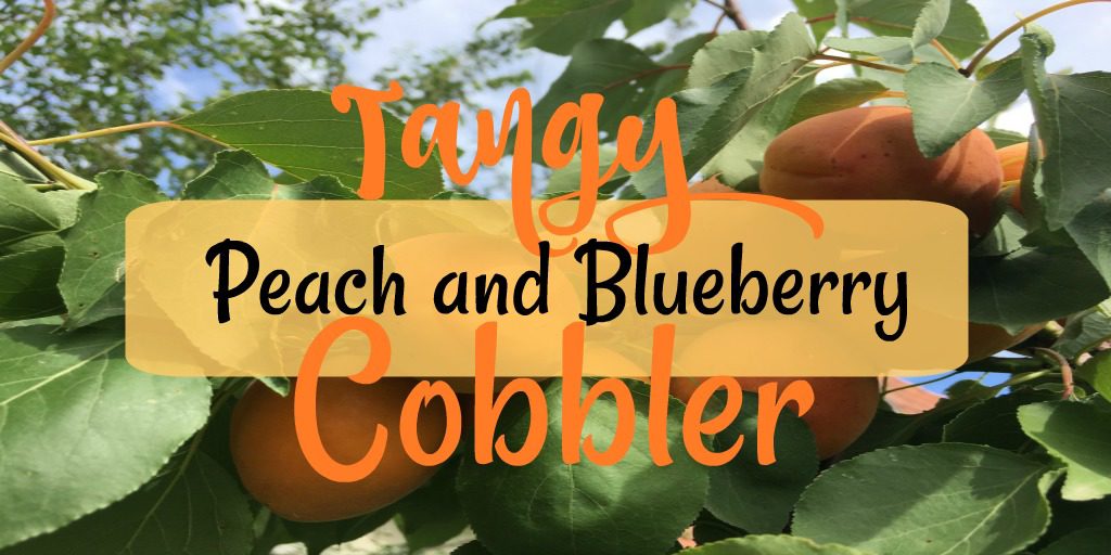 Peach Berry Cobbler