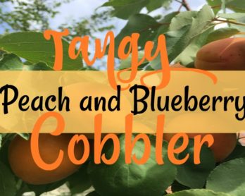 Peach Berry Cobbler