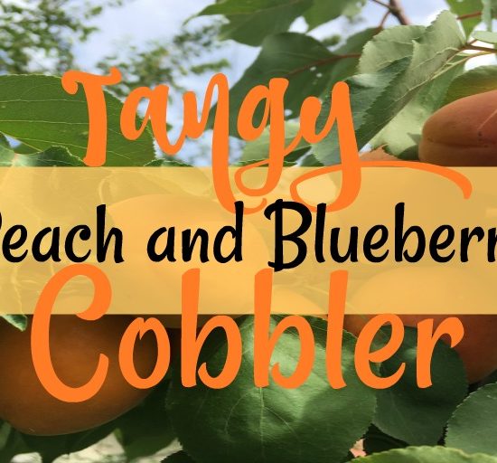 Peach Berry Cobbler
