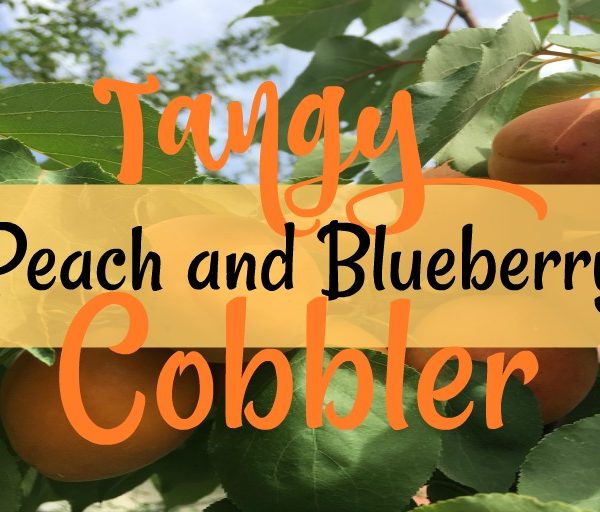 Peach Berry Cobbler