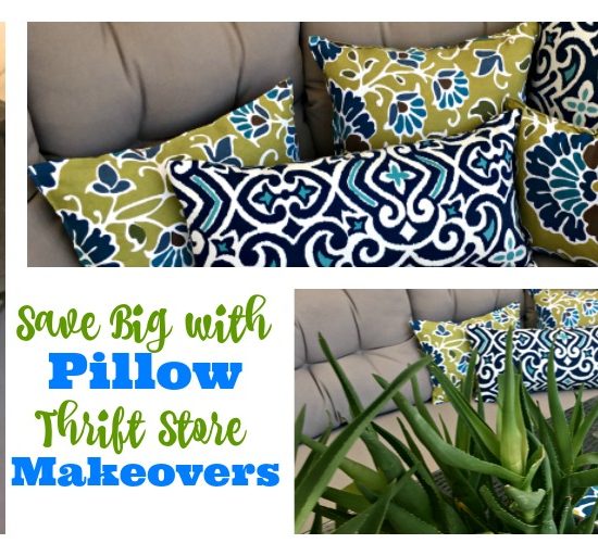 Pillow Thrift Store