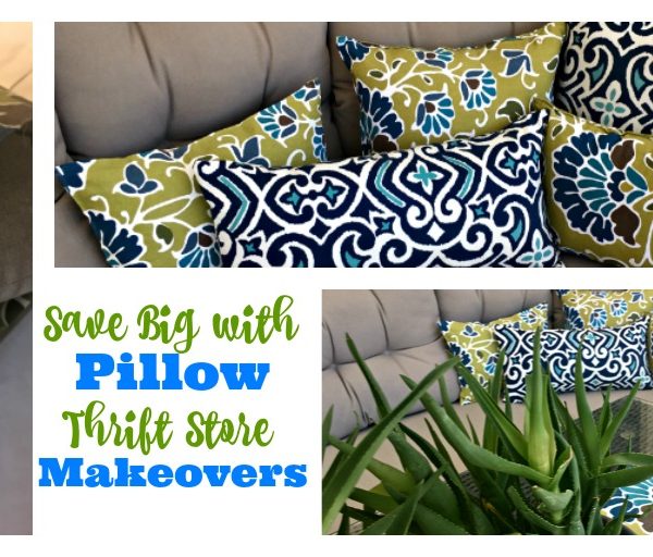 Pillow Thrift Store