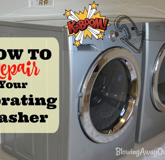 Vibrating Washer Repair
