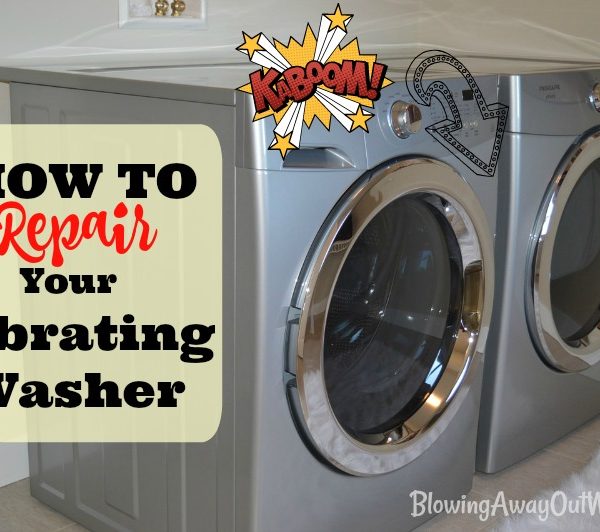 Vibrating Washer Repair