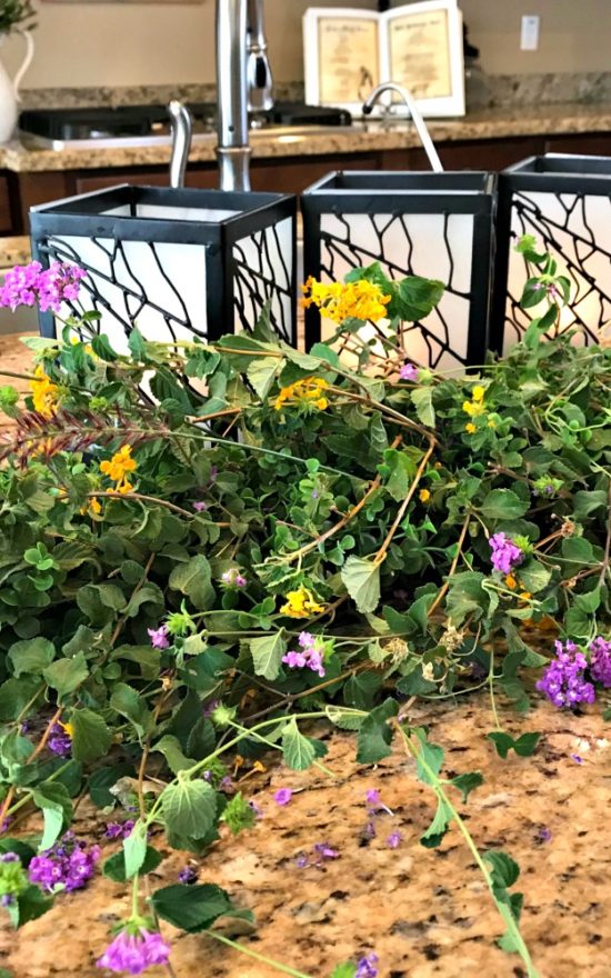 Cook up a spell for a Bewitching Kitchen with this arrangement!