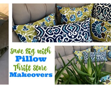 Pillow Thrift Store