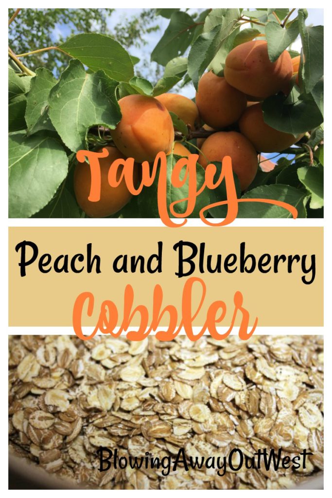 tangy peach and blueberry cobbler