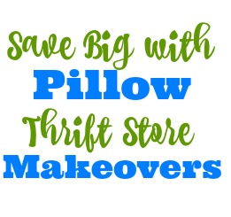 Thrift Store Pillow