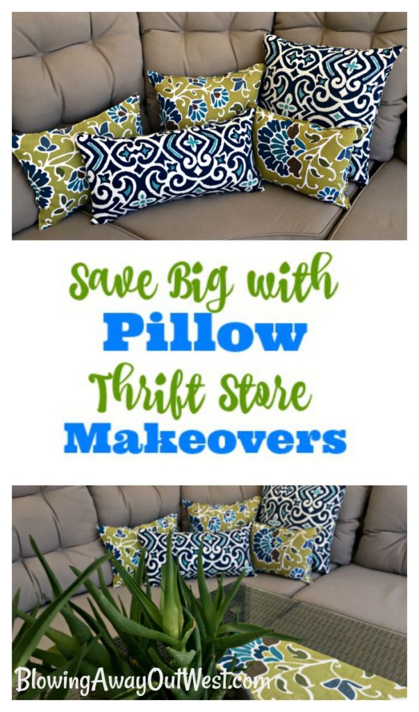 Pillow Thrift Store