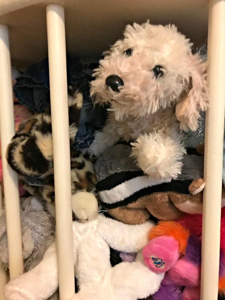 stuffed animal zoo