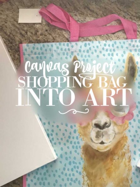 Make Your Own Wall Art Using Shopping Bags | blowingawayoutwest.com - How to make unique wall art using shopping bags from your favorite stores #makeyourownart #diywallart #shoppingbagredo #uniquehomedecor