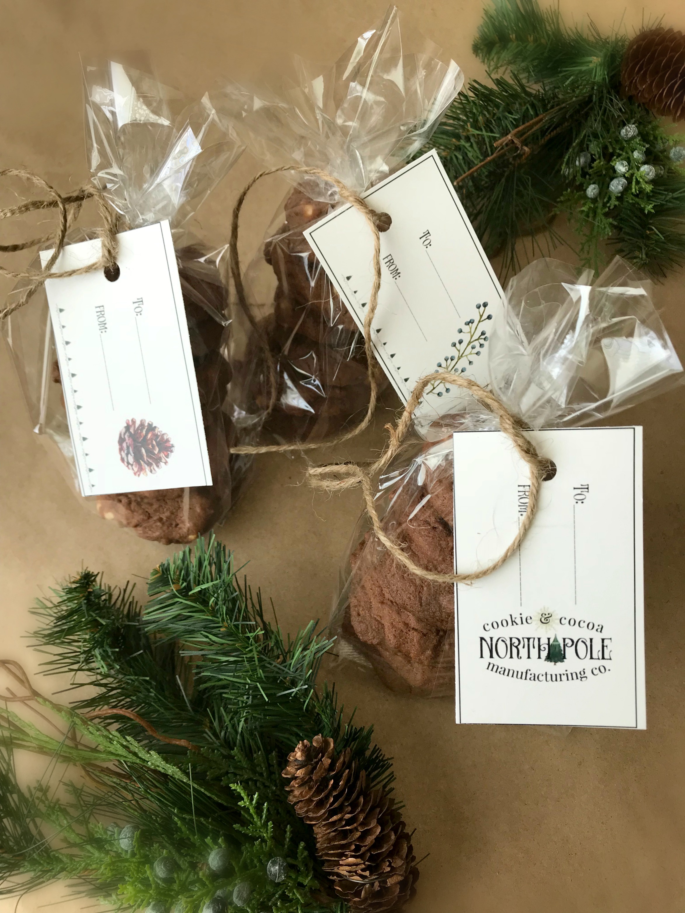 North Pole Hot Cocoa Bar | blowingawayoutwest.com - Hot chocolate bar inspiration, and complete set of printables from the North Pole Cocoa & Cookie Mfg. Co. posters and gift tags #hotcocoabar #hotcocoabarparty #hotchocolatebar #hotchocolatebarwedding #hotcocoabarwedding #northpolehotcocoa #12daysofchristmas #christmasparty