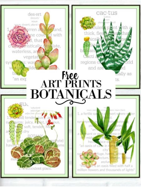 Sensational Cactus & Desert Botanical Free Printables | blowingawayoutwest.com - 4 Sensational Cactus & Desert Botanicals Free to Print #botanicalprints #botanicals #cactus #succulents #freeprintables #desert #palmsprings #floralprintables #freeartprints #blowingawayoutwest