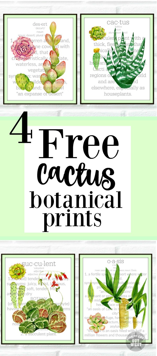 Sensational Cactus & Desert Botanical Free Printables | blowingawayoutwest.com - 4 Sensational Cactus & Desert Botanicals Free to Print #botanicalprints #botanicals #cactus #succulents #freeprintables #desert #palmsprings #floralprintables #freeartprints #blowingawayoutwest